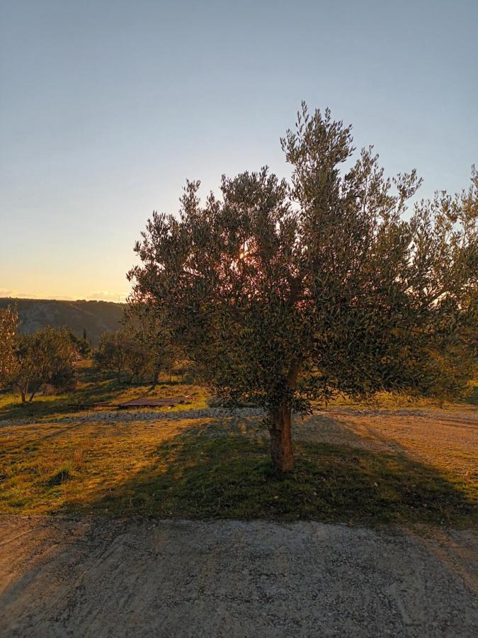Apartman Skradin